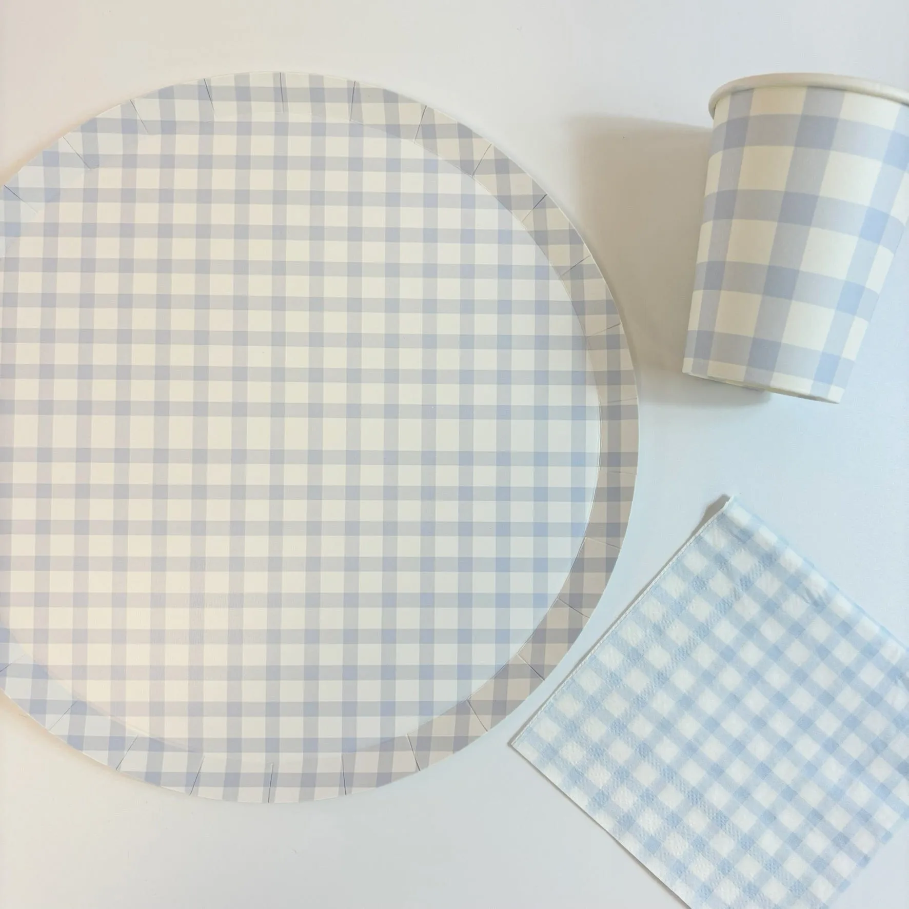 Baby Blue Gingham Large Party Plates x 12
