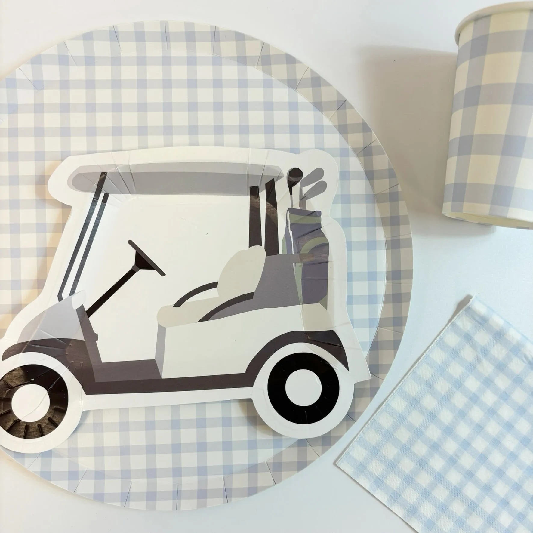 Baby Blue Gingham Large Party Plates x 12