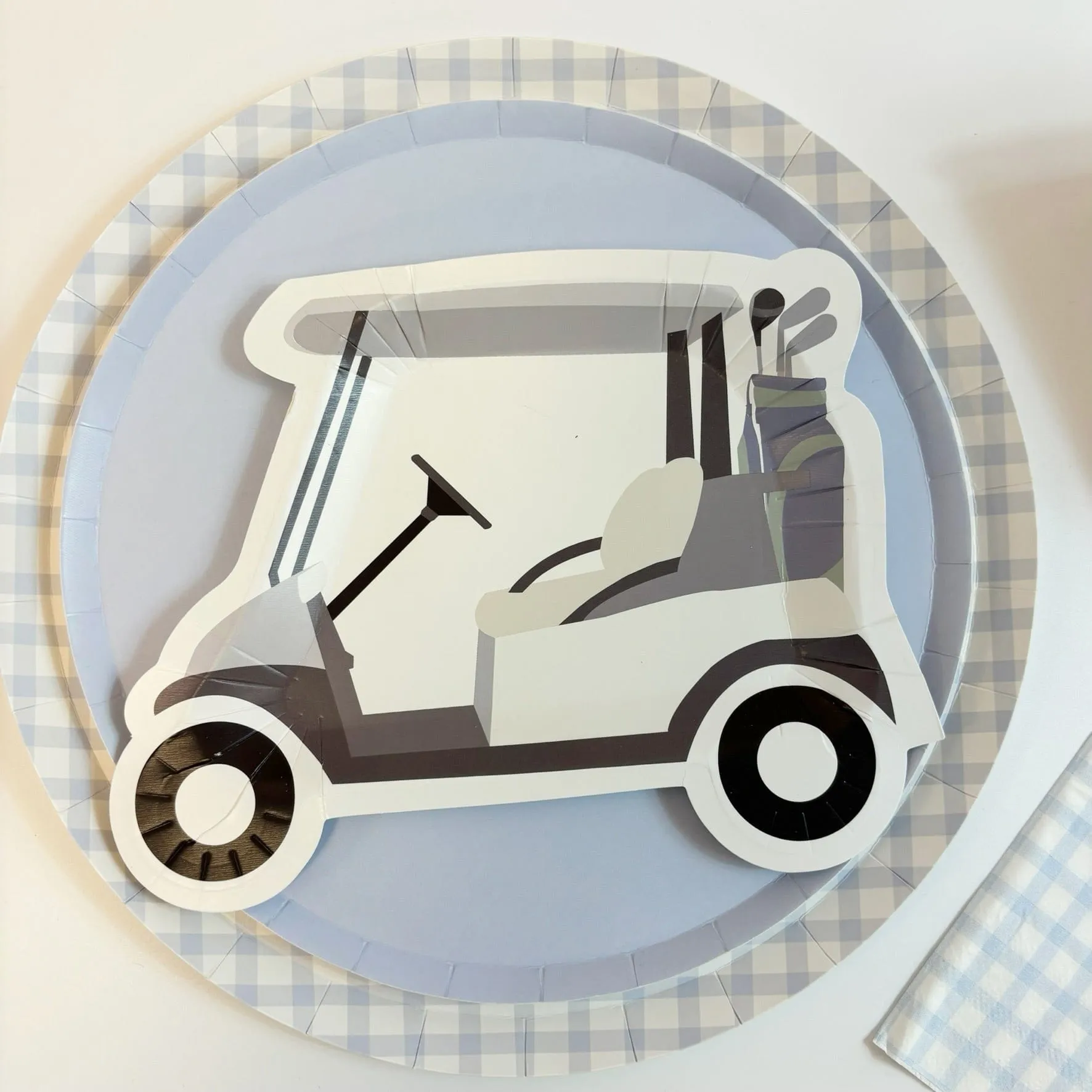 Baby Blue Gingham Large Party Plates x 12