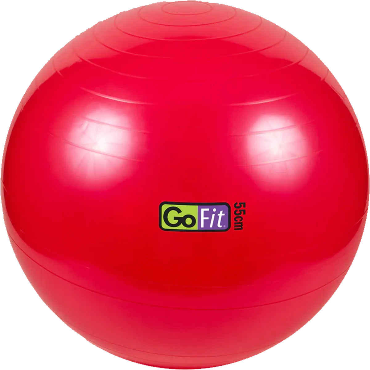 Stability Ball - 55 cm
