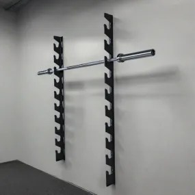 TWL - WALL MOUNTED TEN BARBELL GUN RACK
